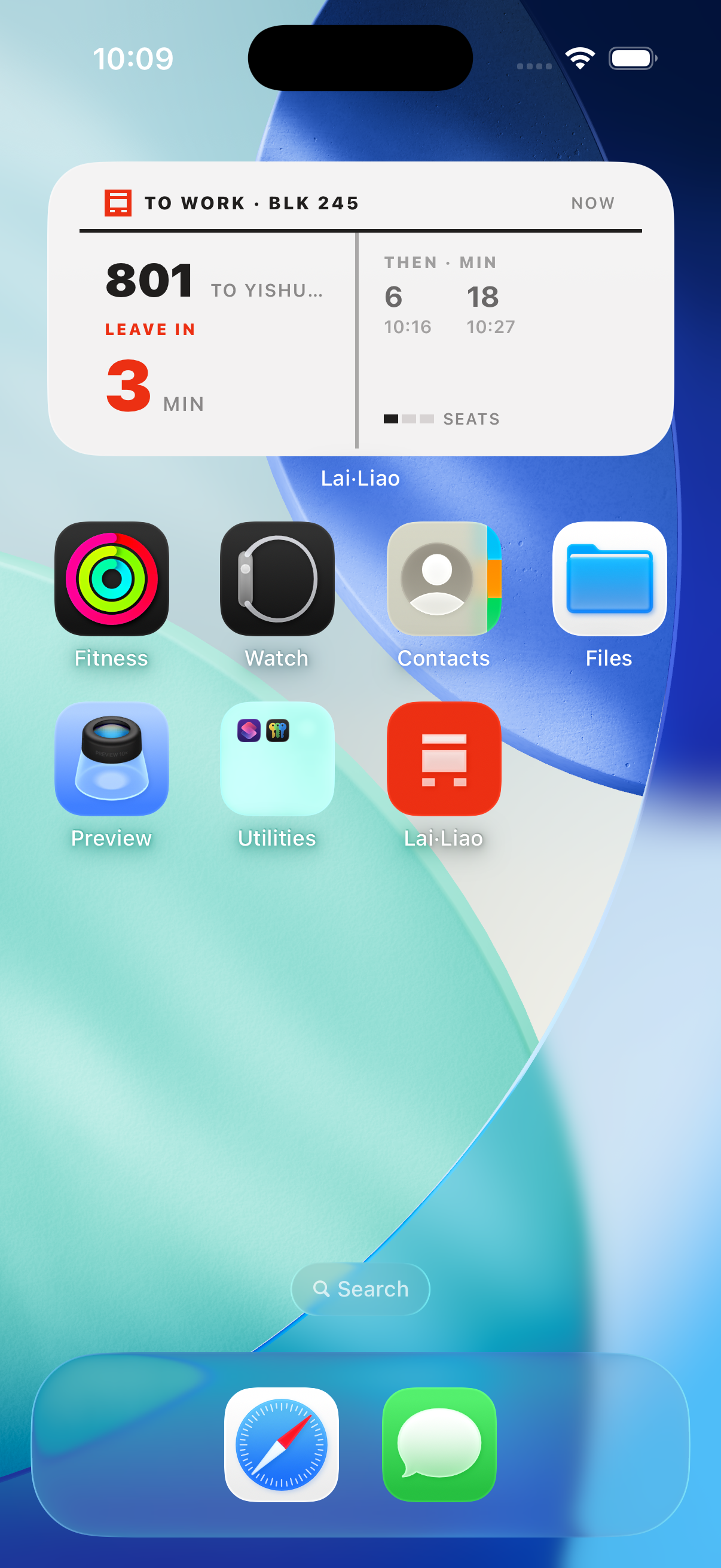 Medium Lai Liao iOS Home Screen widget showing arrival times and crowding